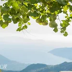 Tatil Evi Hill *