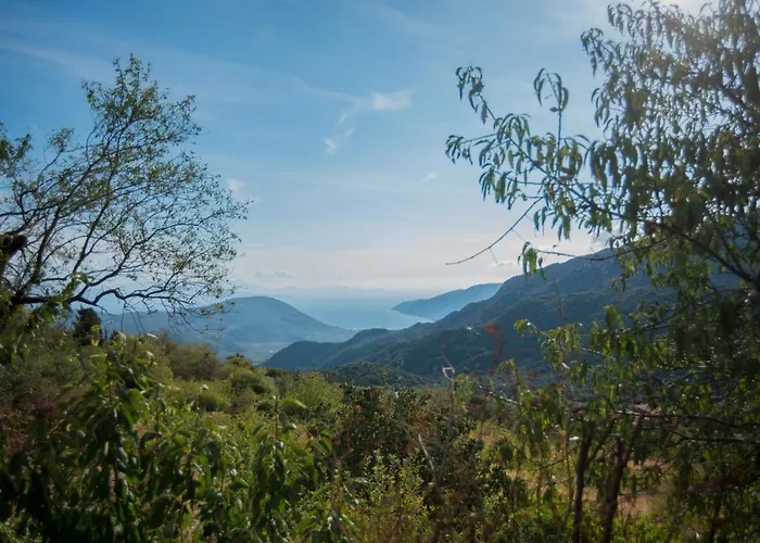 Holiday home Hill Agios Ilias (Lefkada)