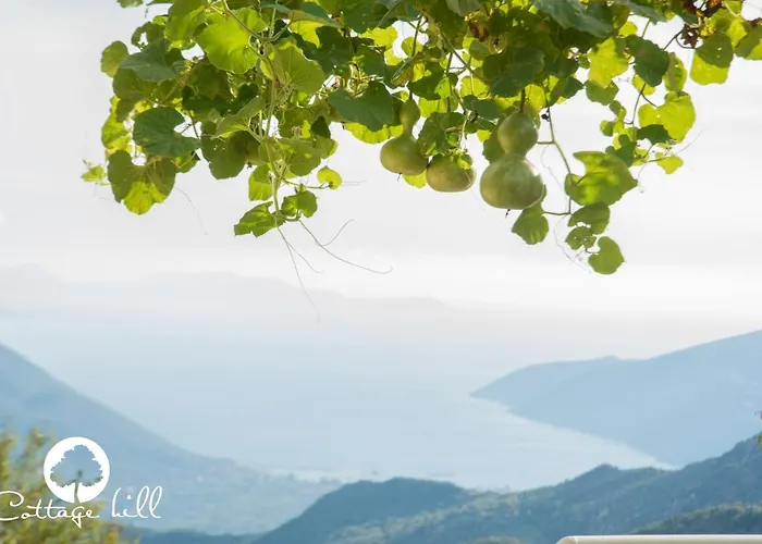 Dom wakacyjny Hill *