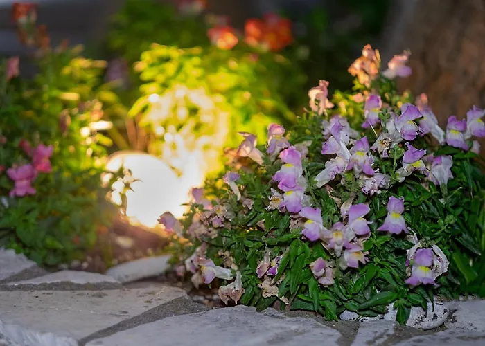 Hill * Agios Ilias (Lefkada)